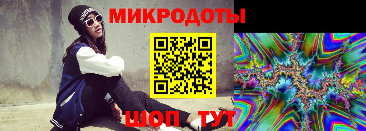 Ярославль  Псилоцибиновые грибы Psilocybine cubensis  Вход с VPN 